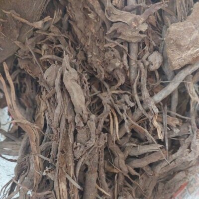 Rễ dừa khô 5kg giá thể trồng cây