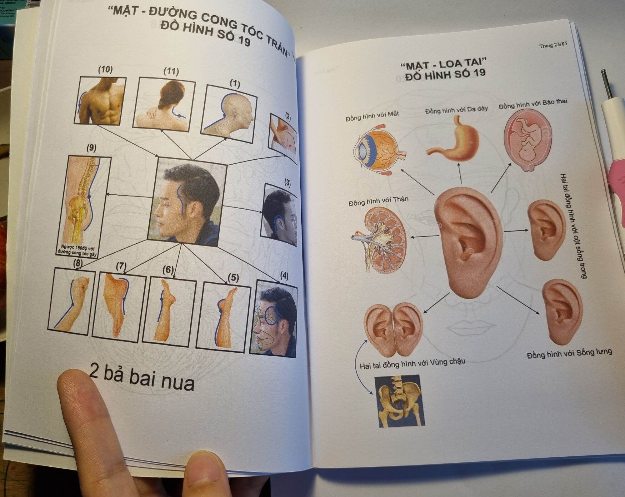 sách đồng ứng - dụng cụ diện chẩn