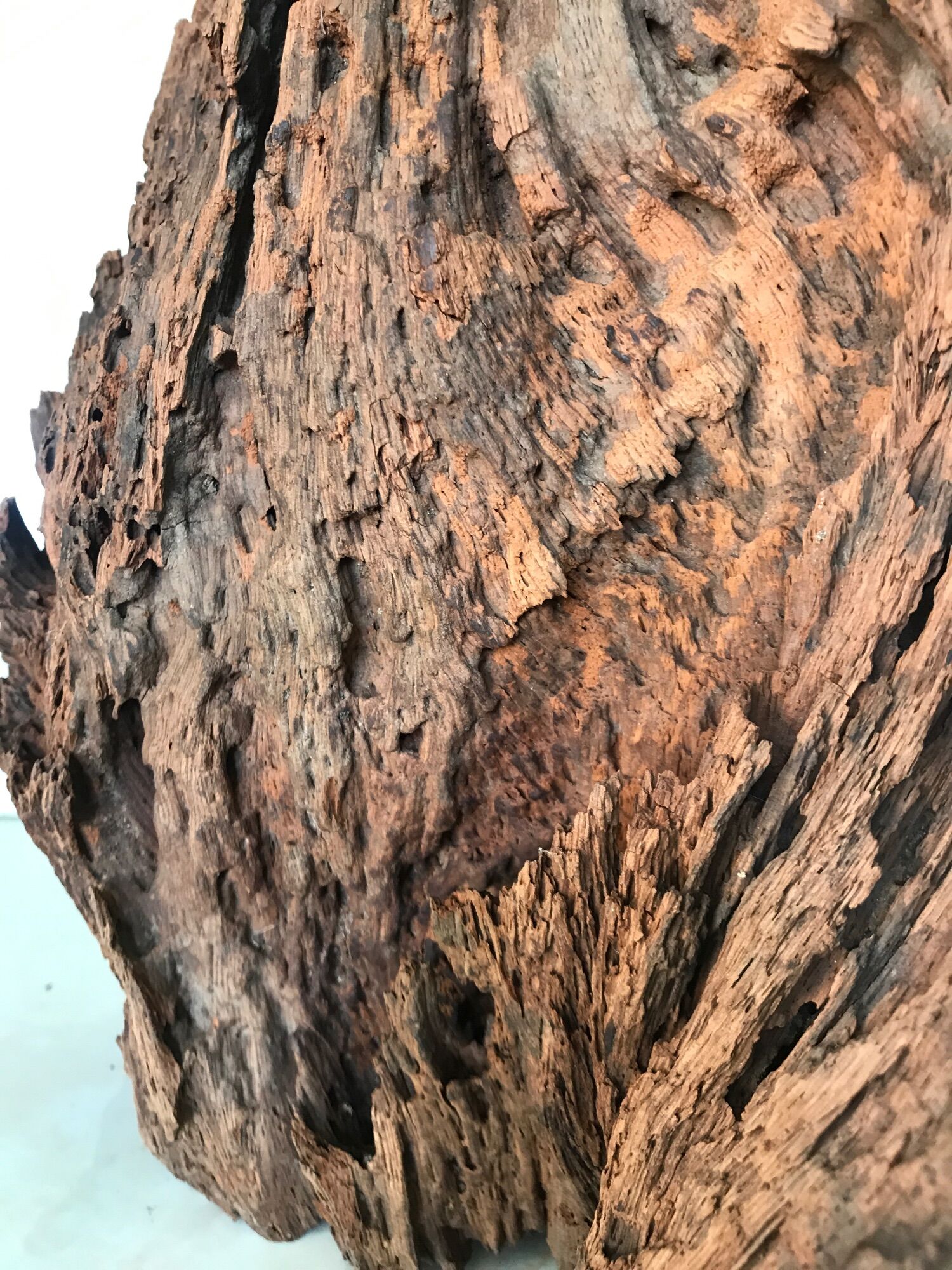 Lũa trang trí, decor…. ( lua 13)