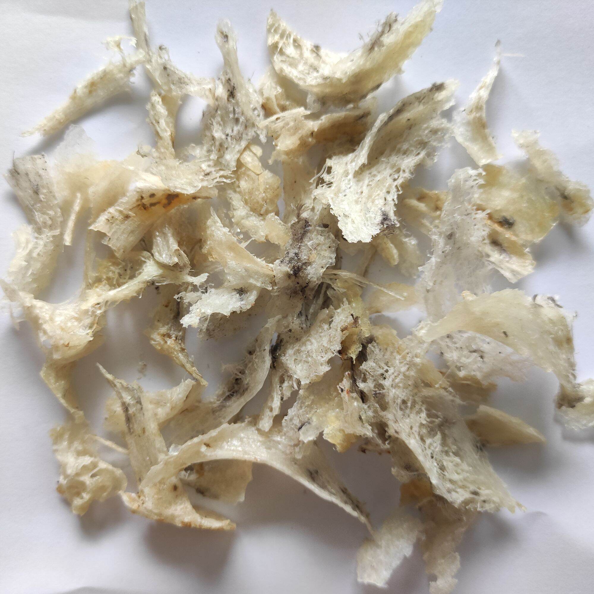Yến sào thô vụn tổ 10g (không kèm nguyên liệu)