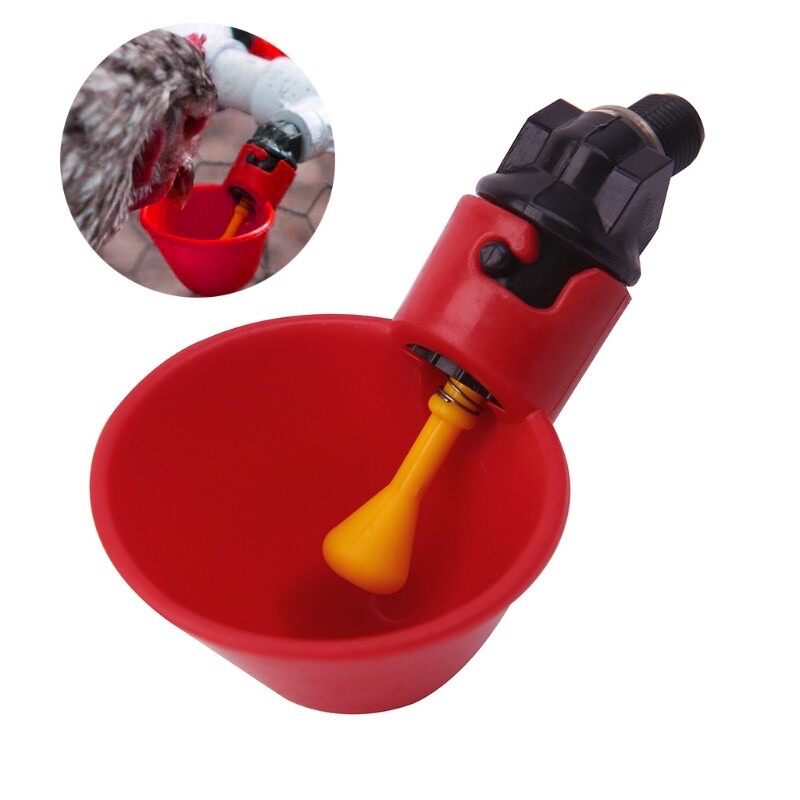 Cốc uống máng uống cho gà chọi gà nòi gà tre gà đá chim cảnh