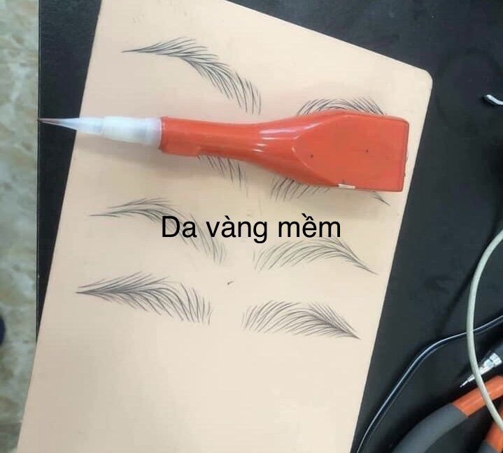 Da Giả Tập Phun Xăm Thẩm Mỹ
