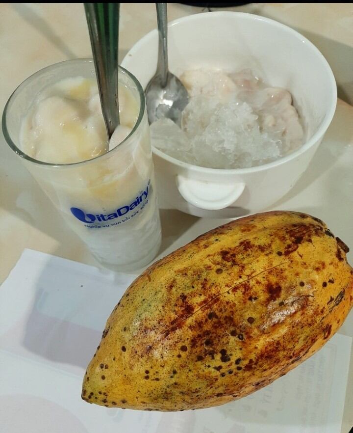 ca cao tư.ơ...i  (1 trái khoản 500g)