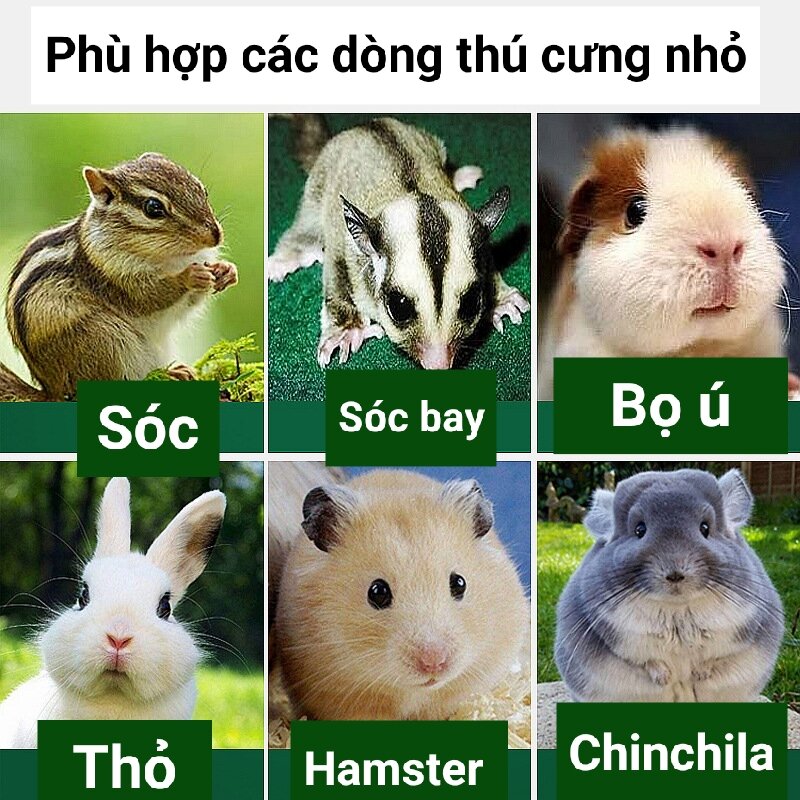 Bọt tắm khô cho hamster thỏ bọ sóc