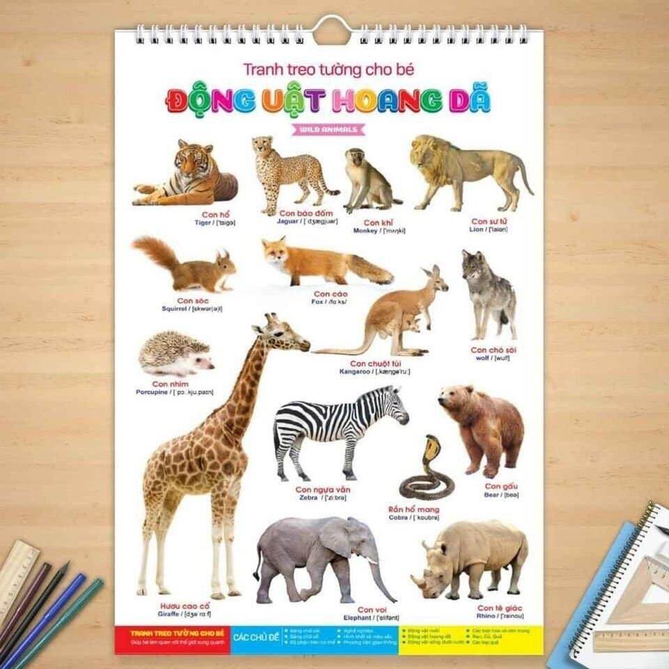 Tranh treo tường 14 chủ đề cho bé
