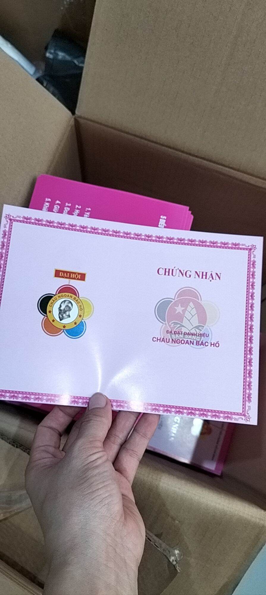 Chứng nhận cháu ngoan bác hồ (100 tờ)