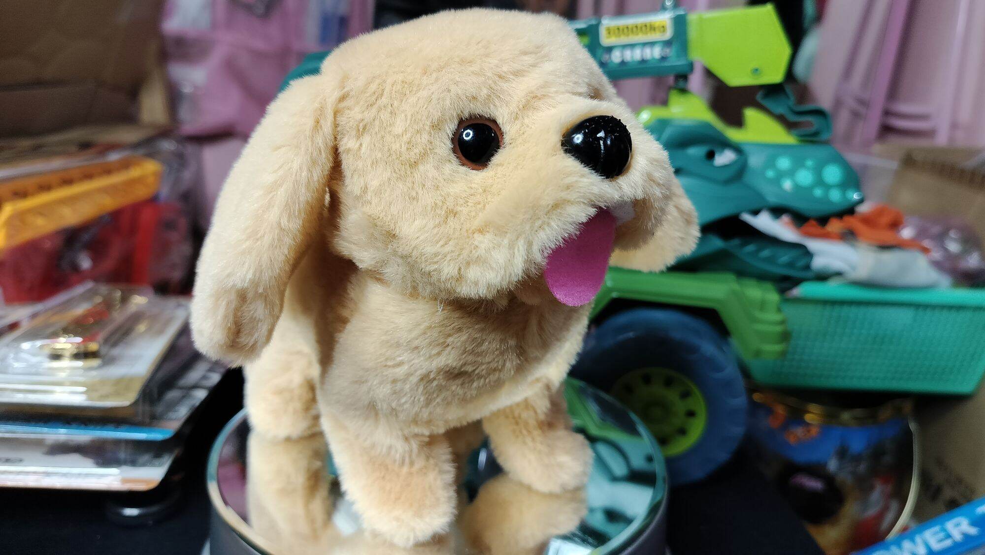 chó con dùng bin biết sủa