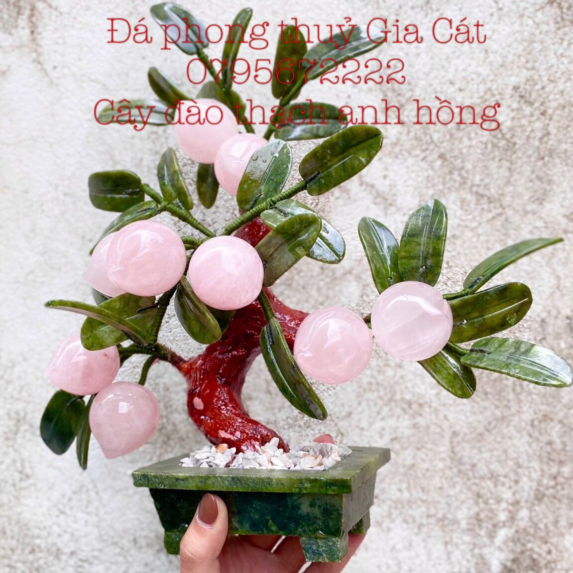 Cây đào thạch anh hồng 9 quả kiểm định