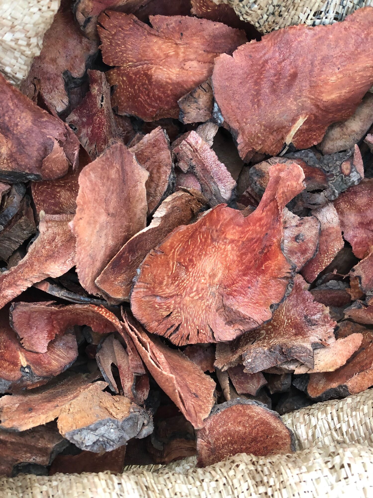 Khúc khắc đỏ ( Thổ Phục Linh 120k/2kg)