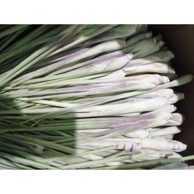 100gram sả cây tươi