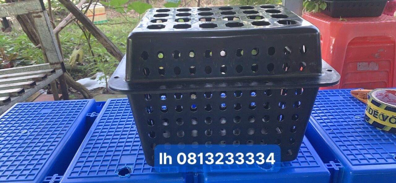 Hộp Nuôi Cua Hỗ trợ kĩ thuật nuôi hàng loại 1