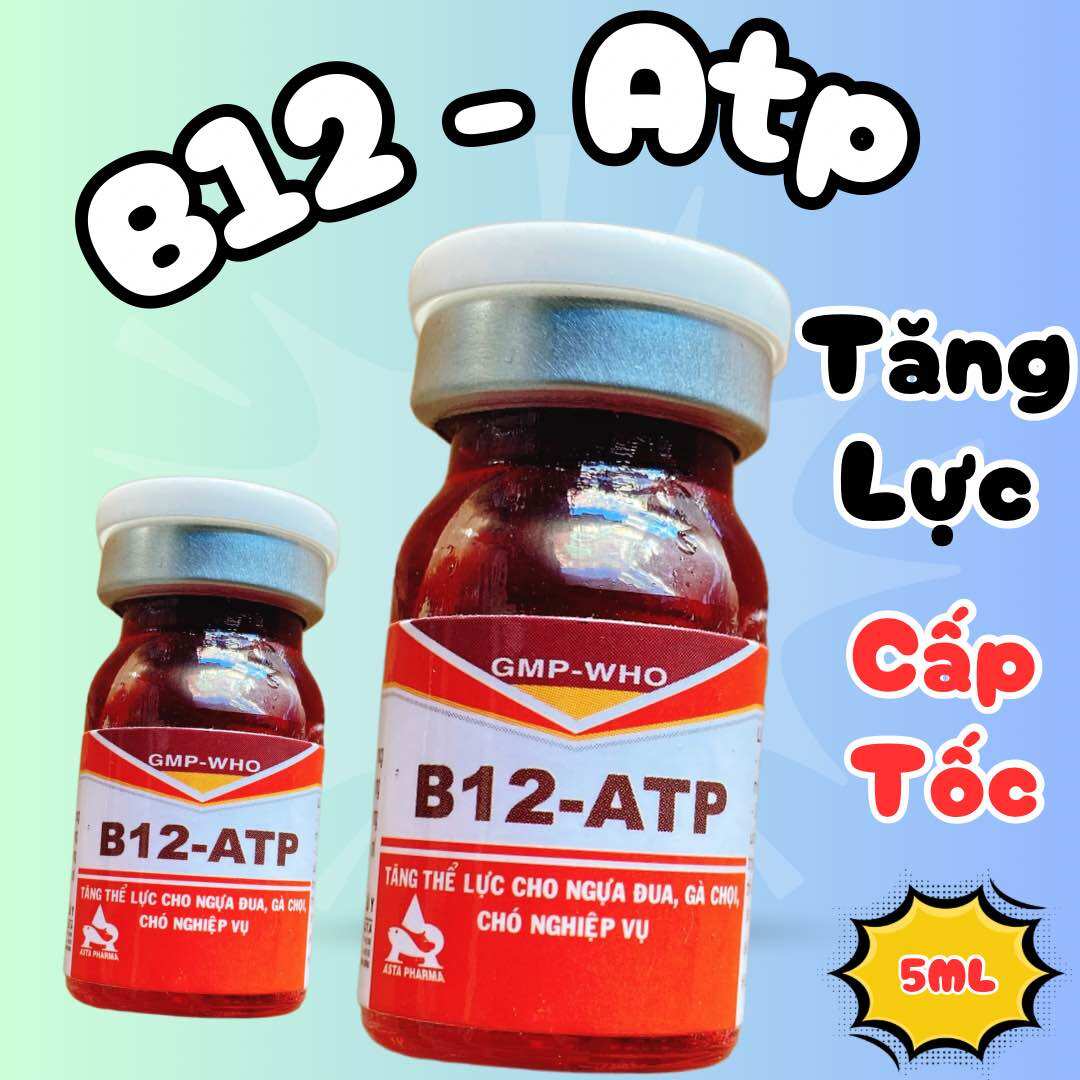 B12 Atp tăng lực, tăng cơ, đõ dai, bền sức, sung căng gà đá lọ 5ml