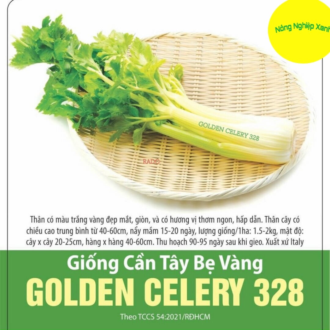 Hạt giống cần tây bẹ vàng golden celery 328 dễ trồng