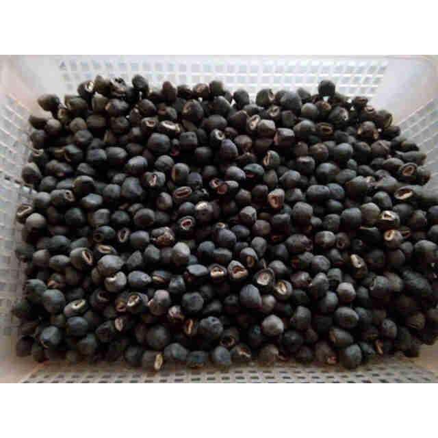 1kg chuối hột rừng cô đơn hạt chuối