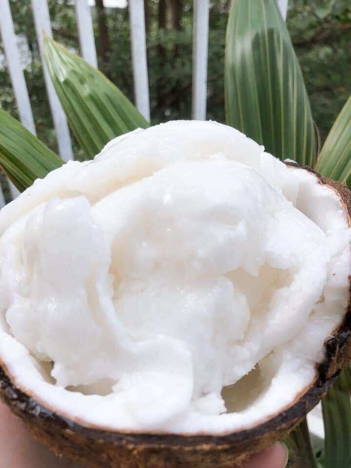 (Combo 2 trái)Đặc Sản Dừa Sáp Dạng Lỏng Thơm Ngon Dinh Dưỡng