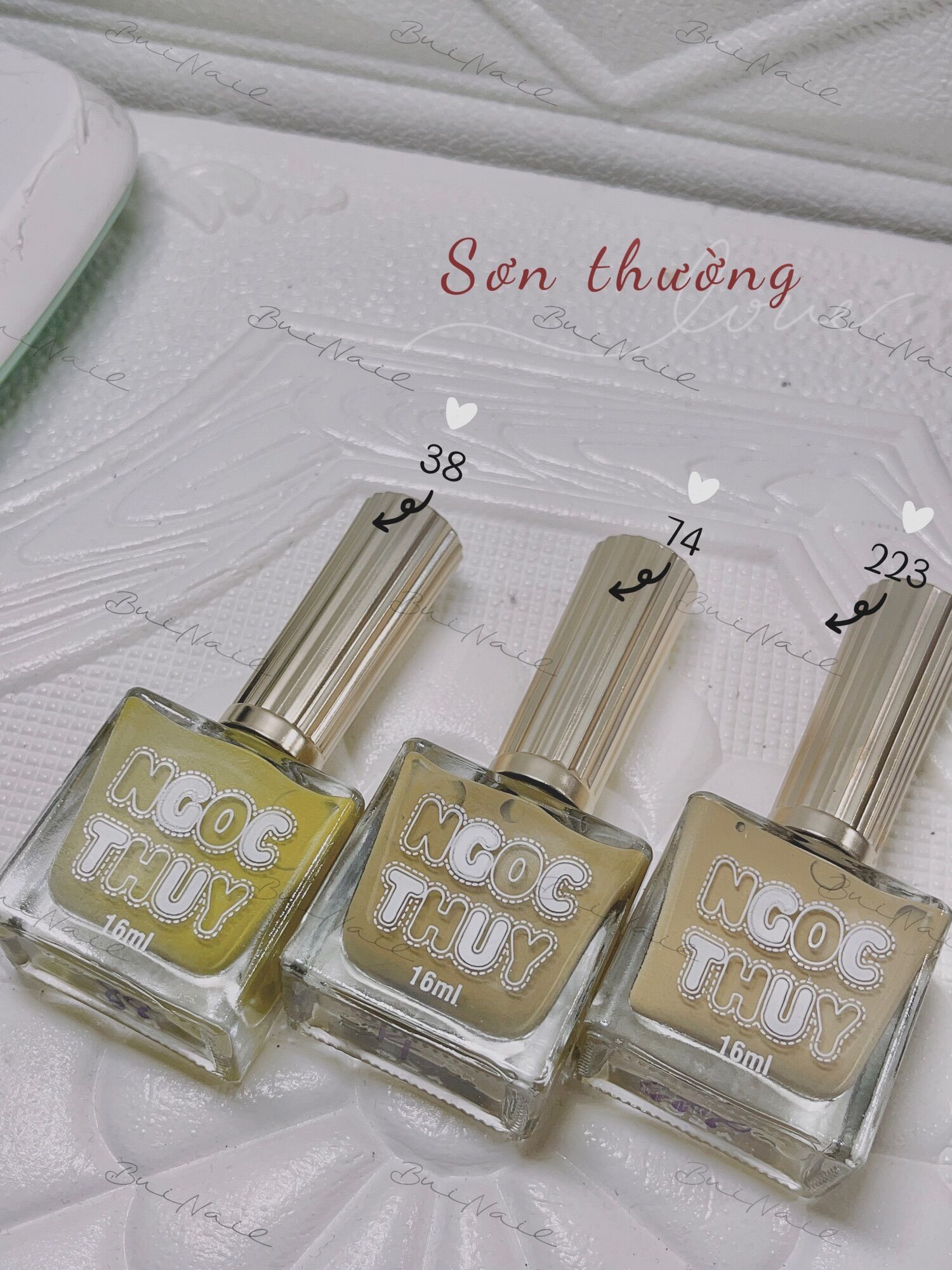 SƠN THƯỜNG NGỌC THUỶ