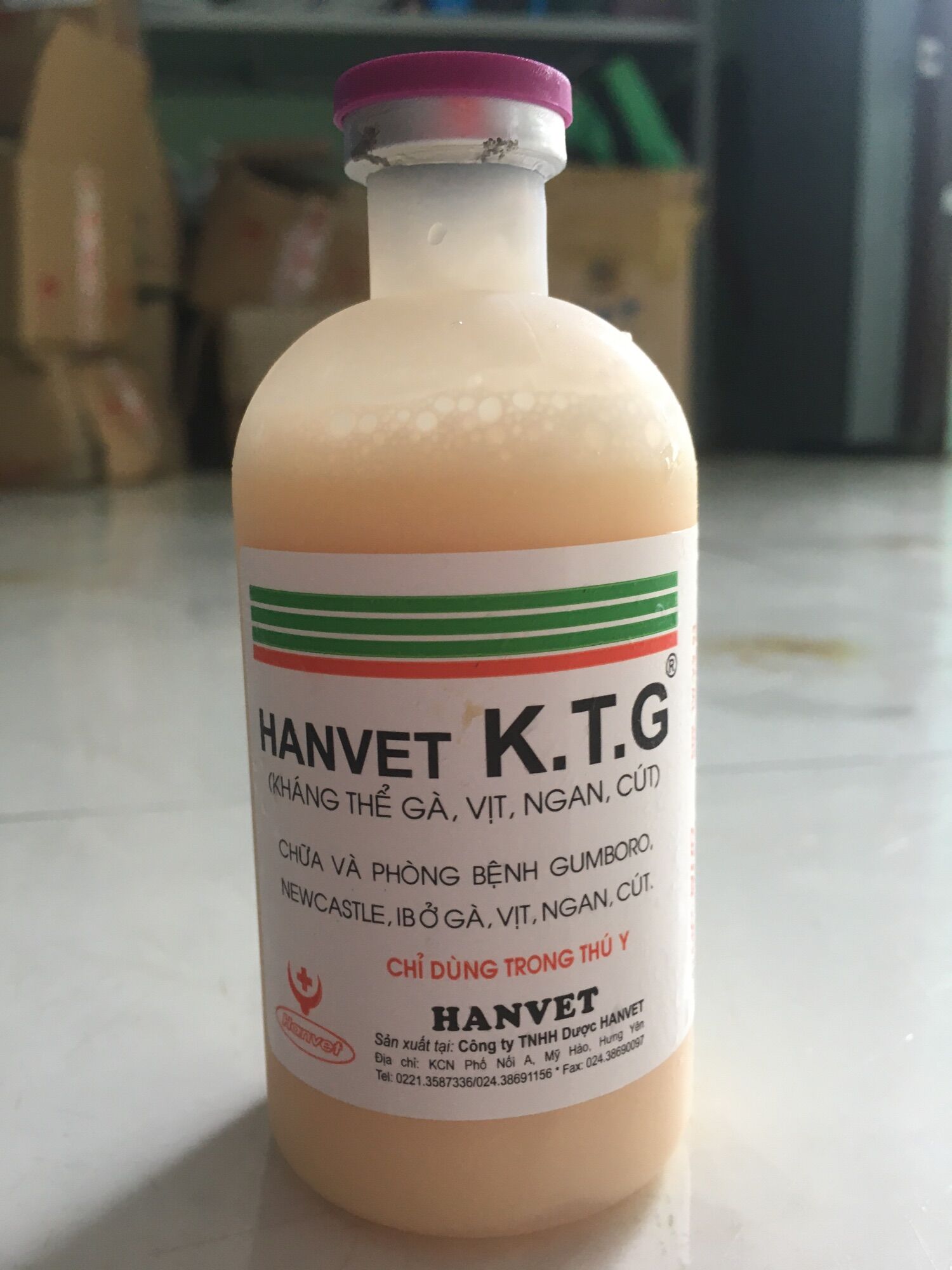 Kháng thể gà, vịt. Chữa gumboro và newcastle