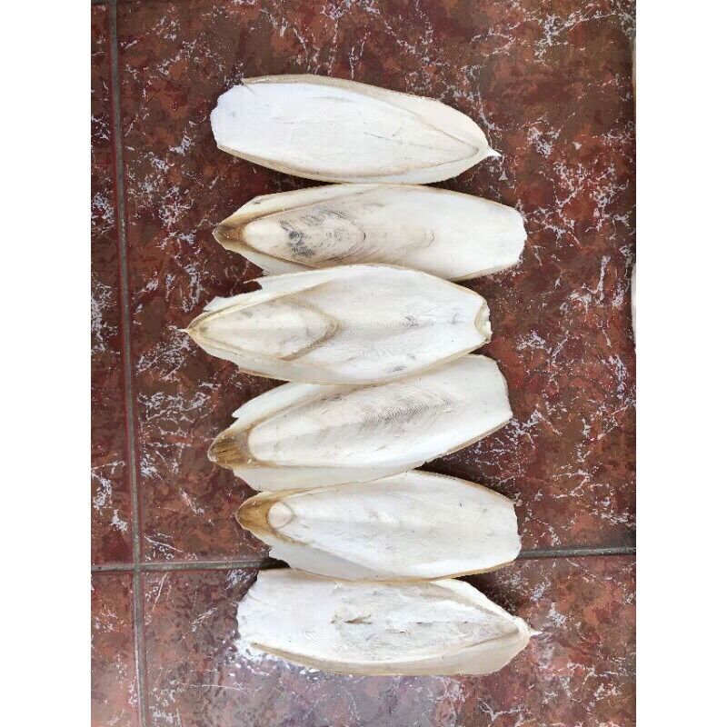 Nang mực chuẩn tự nhiên