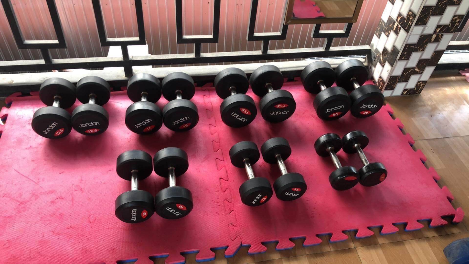 Tạ tay cao su tập gym viên 2.5kg 145k /1 viên