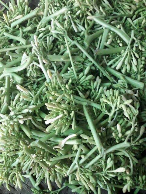 1kg hoa đu đủ đực phơi khô tự nhiên