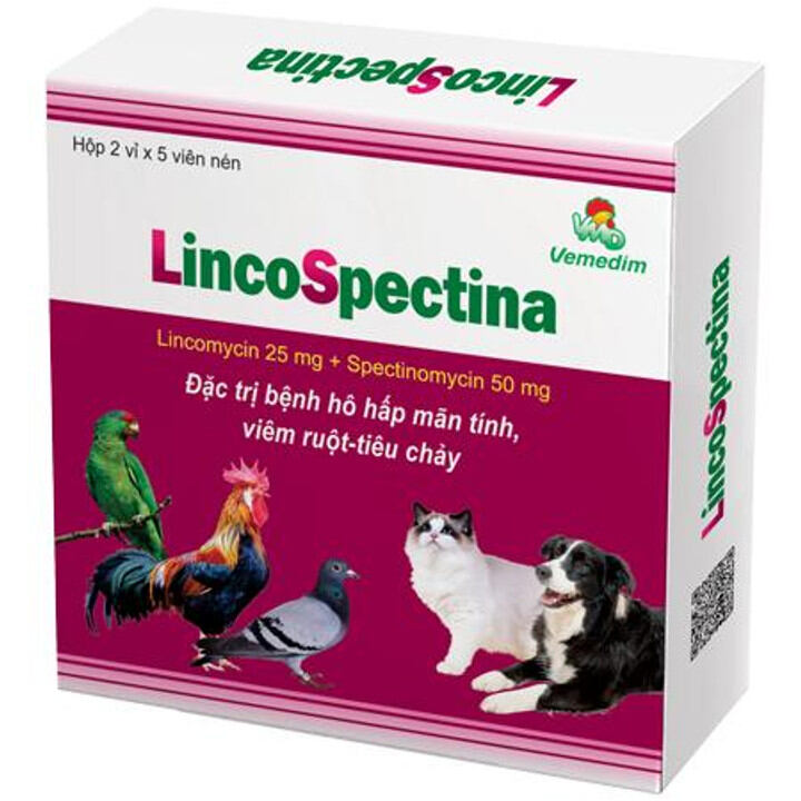 Linco Spectina hô hấp cho gà đá, chó, mèo, chim cảnh.....
