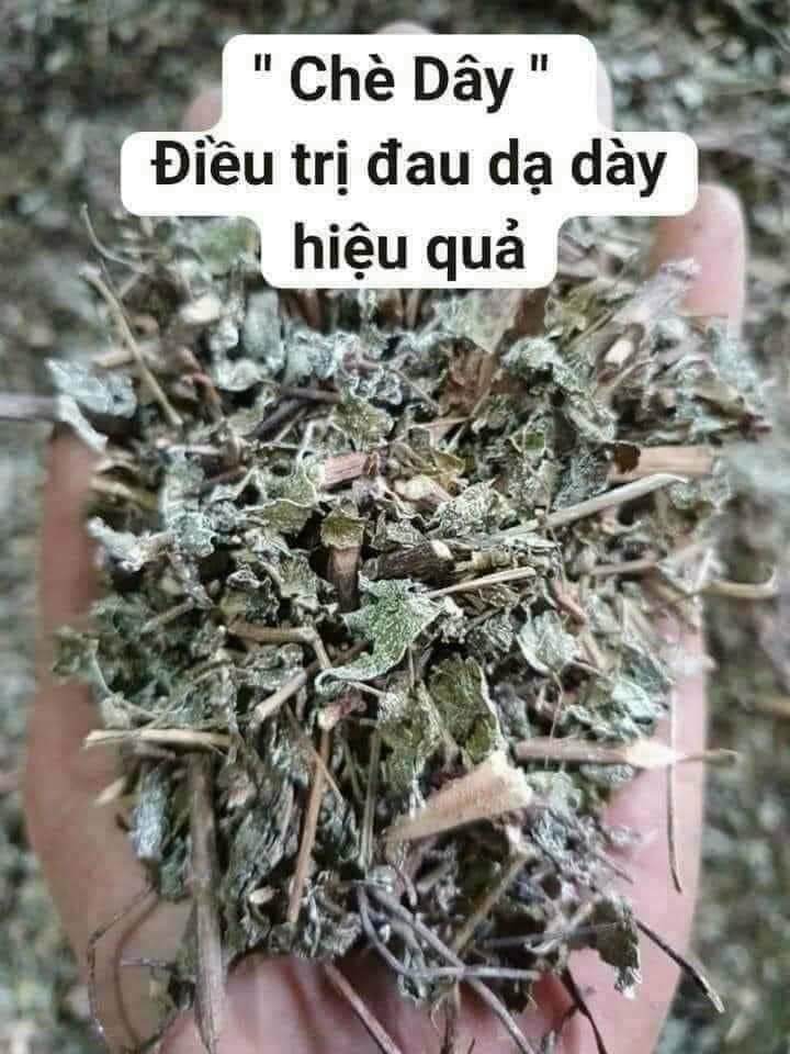 1kg chè dây sapa hàng đẹp tốt cho dạ dầy