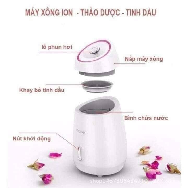 Máy xông mặt hoa quả Maoer