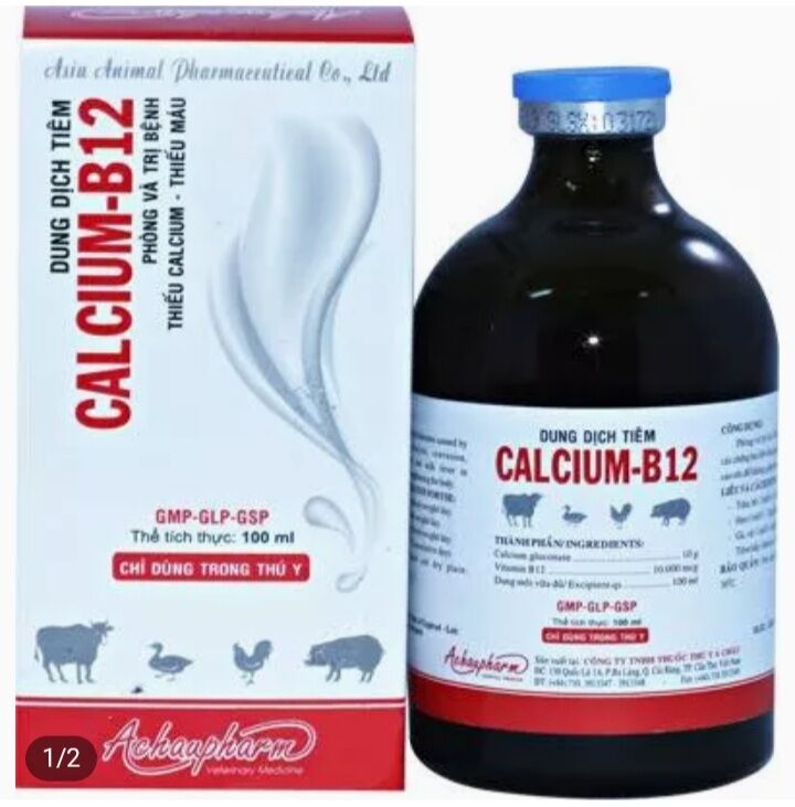 Calcium B12 100ml gà đá thiếu máu, cứng xương