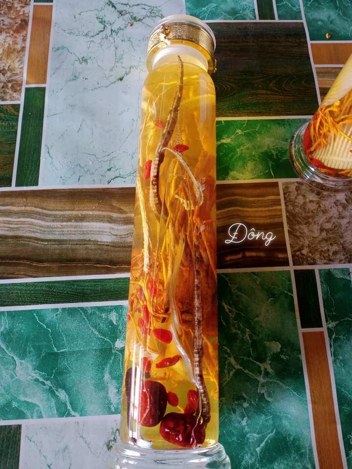 combo cá ngựa khô (tứ hải long vương)
