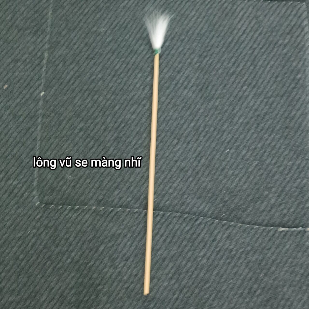 1 tăm ngoáy tai se lỗ tai lông vũ chân gỗ ngành ráy tai chuyên nghiệp 👂👂👂