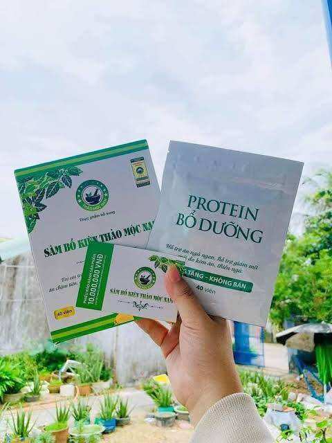 Tăng cân sâm bổ kiện thảo mộc nam - tặng kèm gói protein