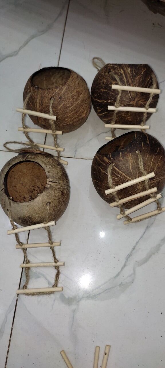 Tổ Gáo Dừa có Thang - đã đánh bóng