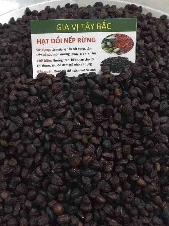 HẠT DỔI NẾP TÂY BẮC.