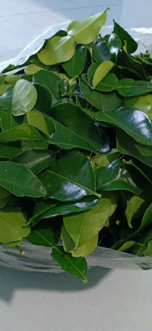 1kg lá chúc an giang
