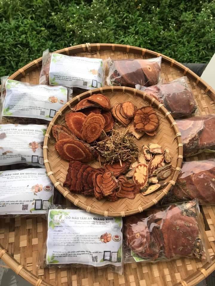 cỏ máu Tâm An