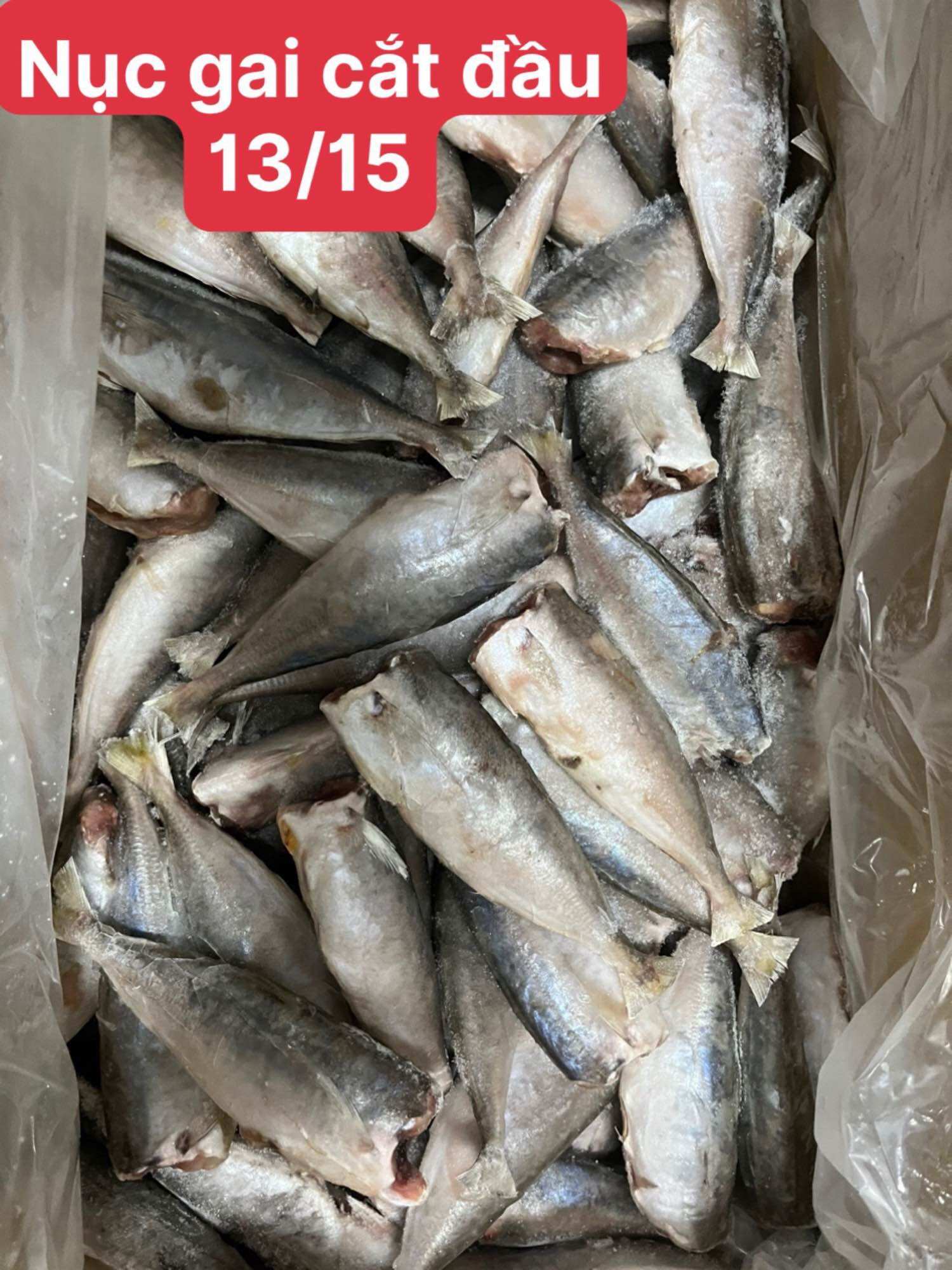 Cá nục mần sạch túi 1kg (giao tphcm)