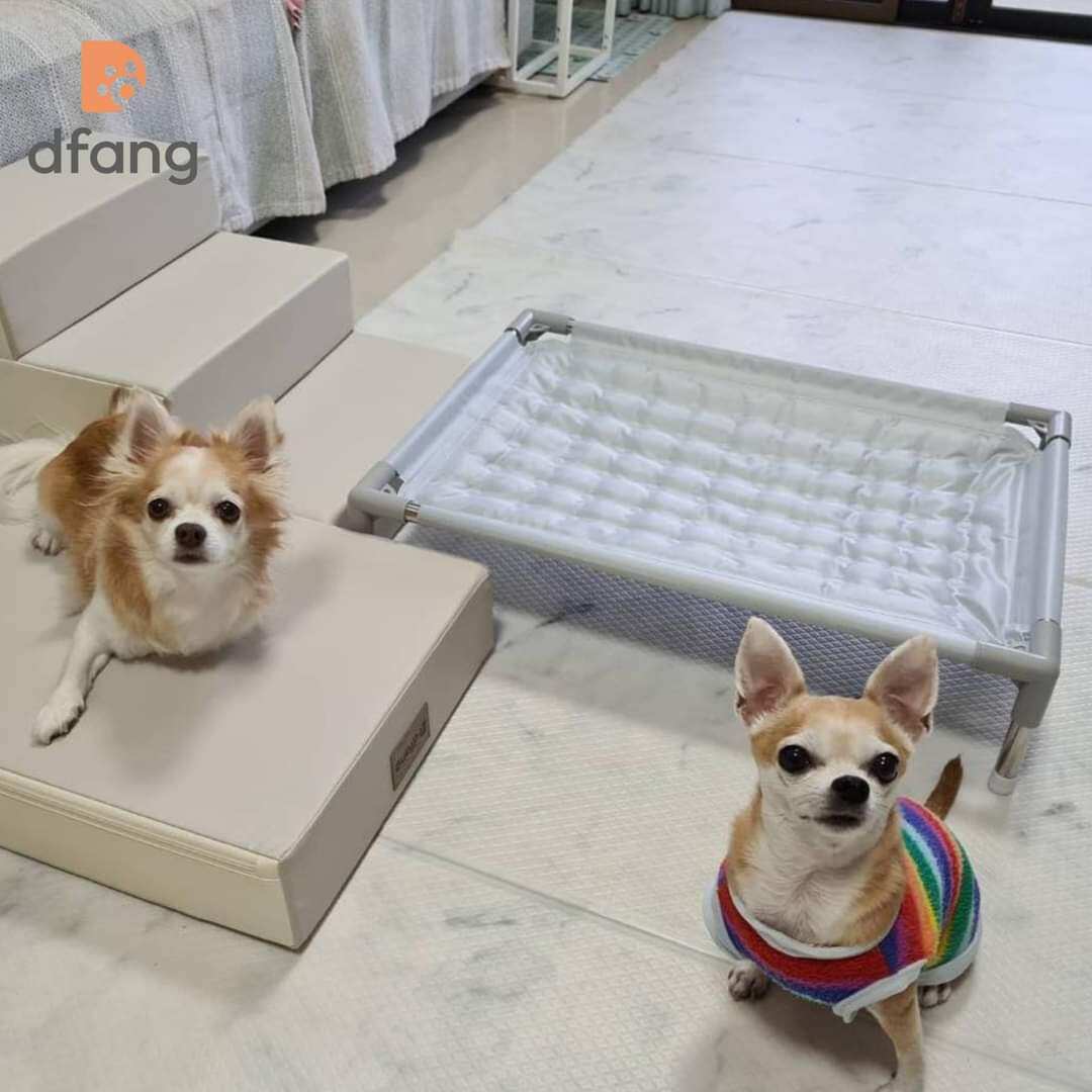 giường mát cho thú cưng