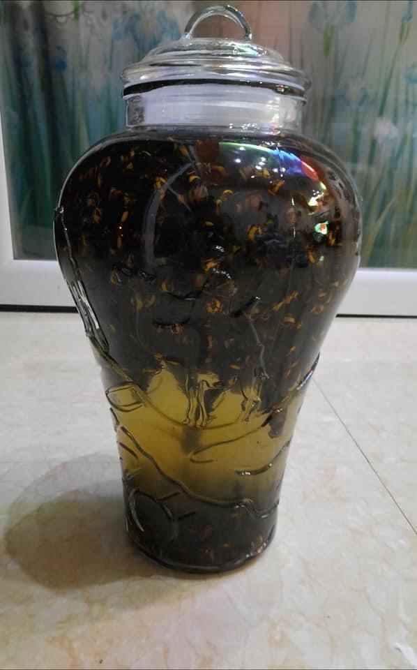 Ong đất ( Ong bắp cày) ngâm ru.ou chai 1Lít hoặc chưa ngâm