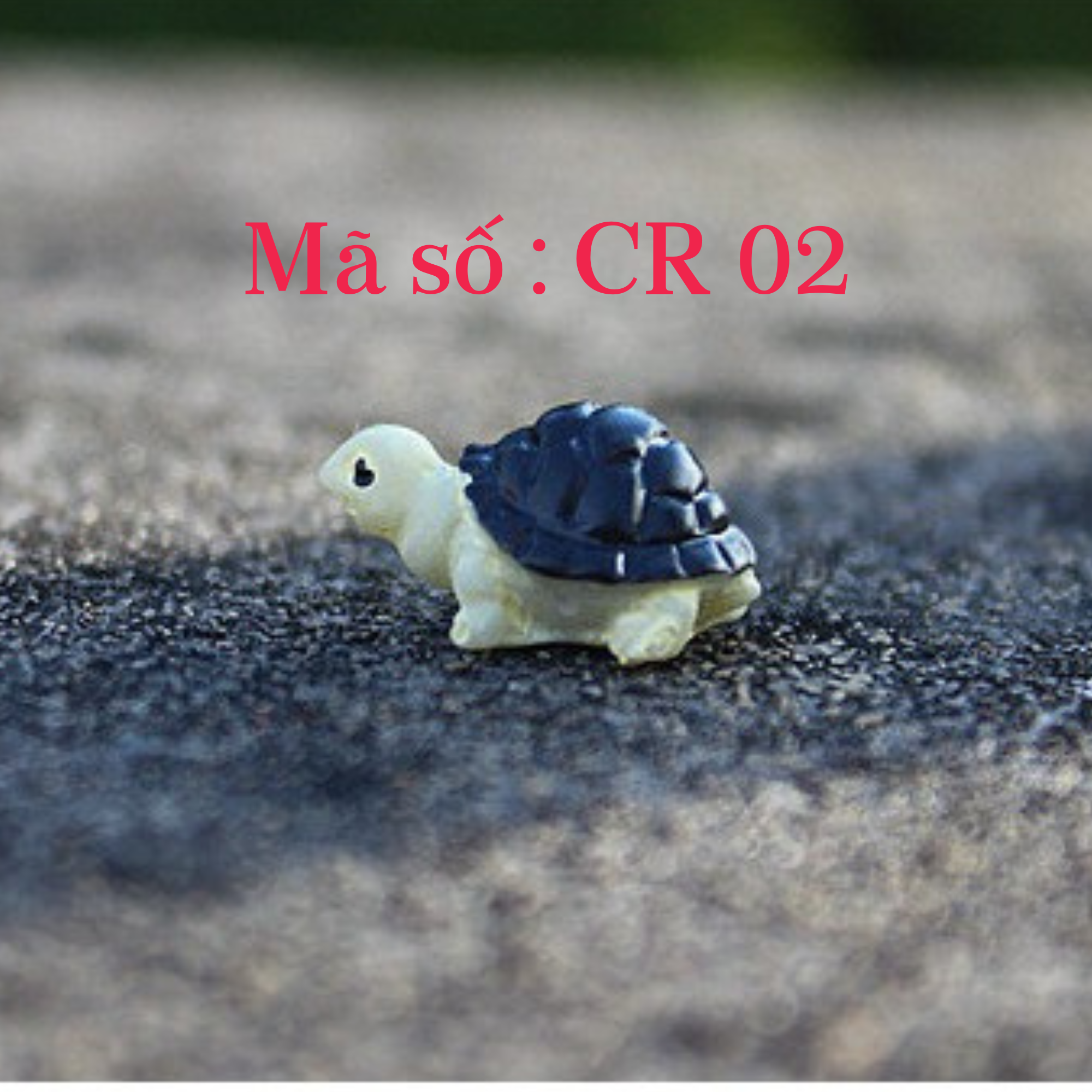 Trang trí bể cá , tiểu cảnh ( mô hình rùa mini )