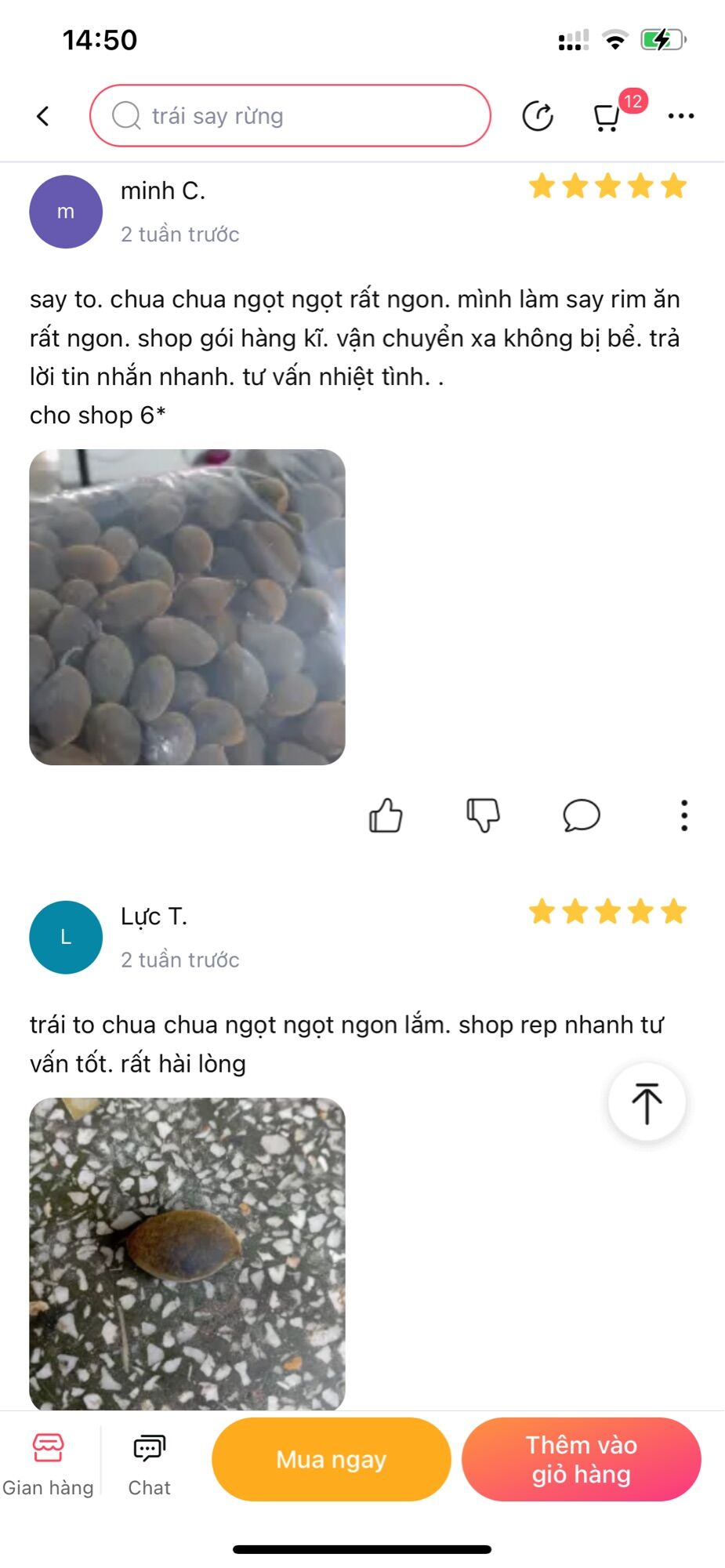 Say trâu 1kg, trái to ngọt