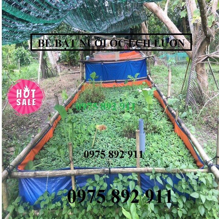 bề bạt nuôi ốc ếch cá 8m2 4x2x1