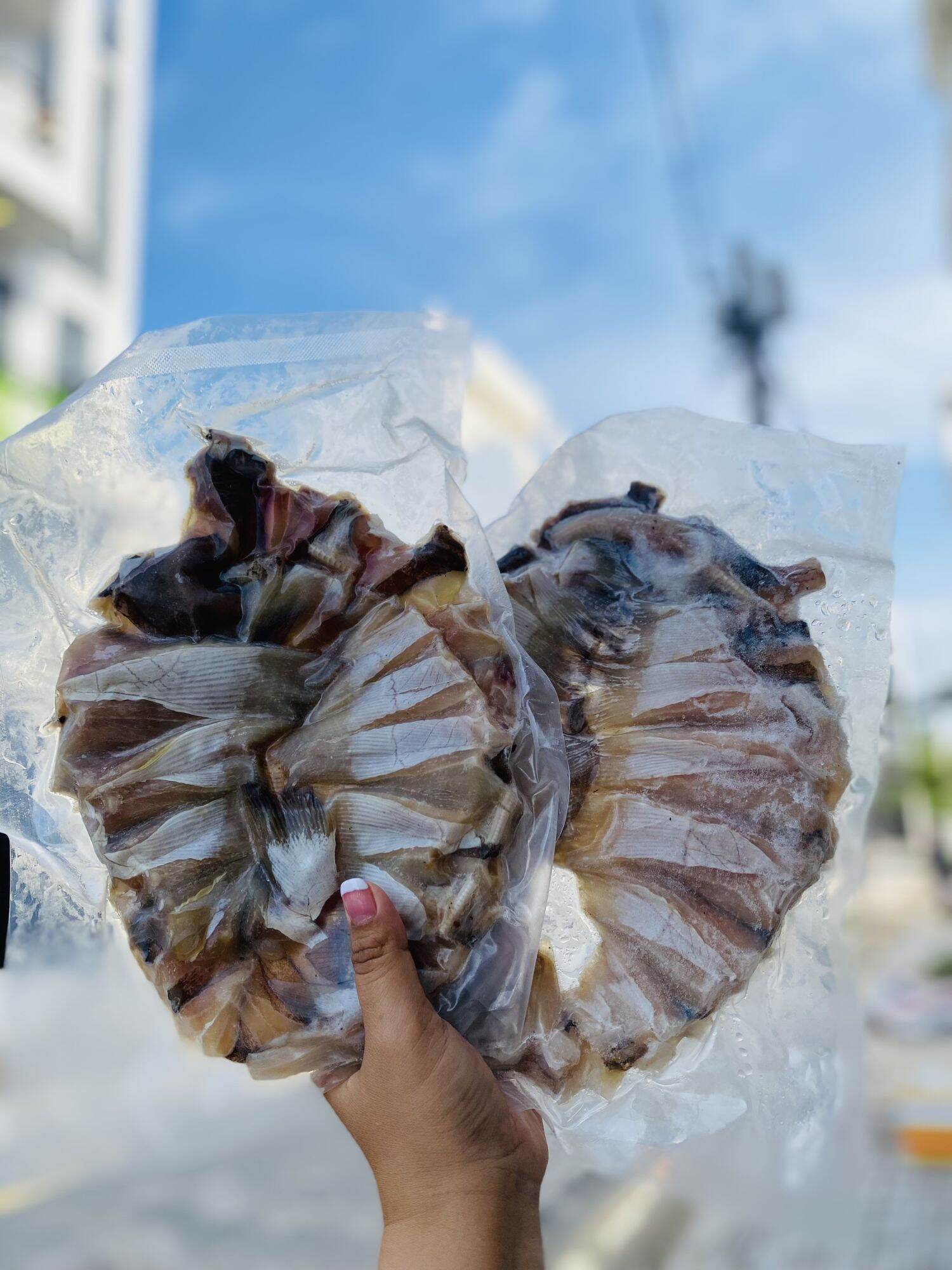 [GIAO NHANH 2H HCM] 1Kg Cá Đuối 1 Nắng