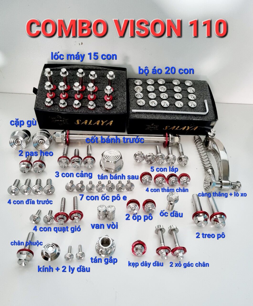 Full vision 110