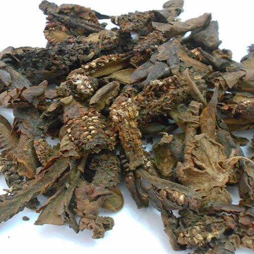 500g nấm ngọc cẩu khô