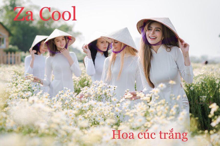 BỘT NƯỚC MÁT ZA COOL 6 VỊ (Sản phẩm Xuất Khẩu)