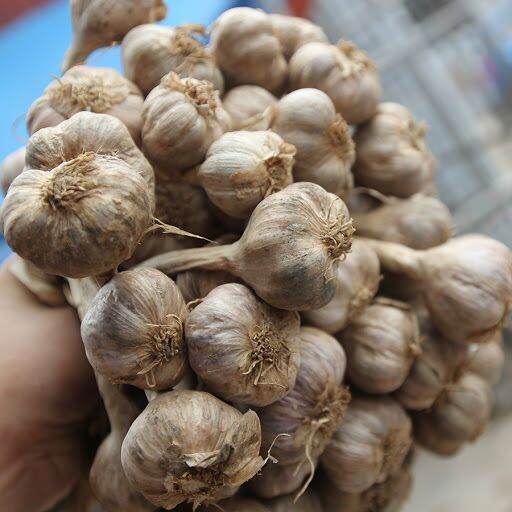 combo 2kg tỏi ta