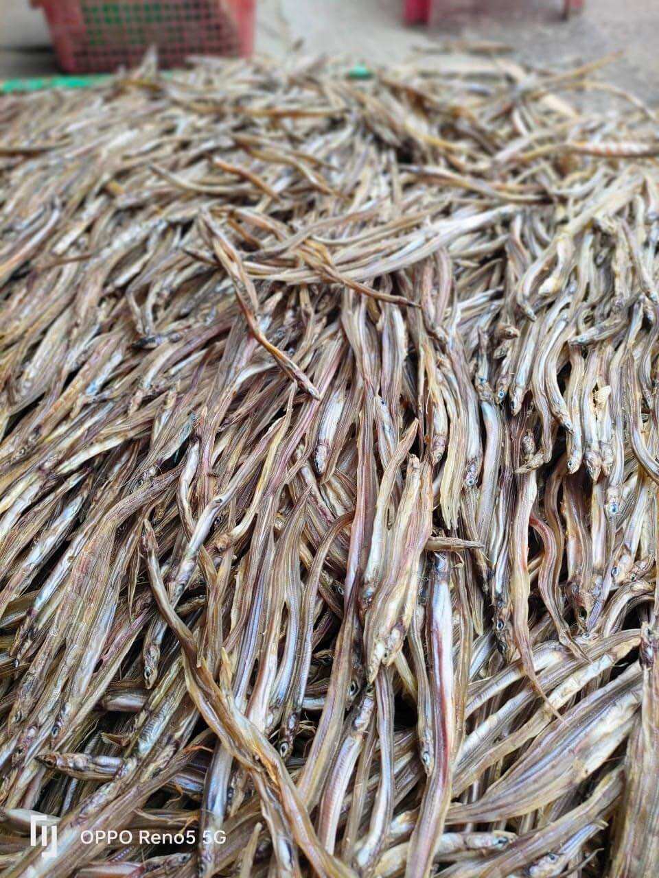 KHÔ SỤN SỊN / LÌM KÌM / CÁ LÃI ( túi 500g)