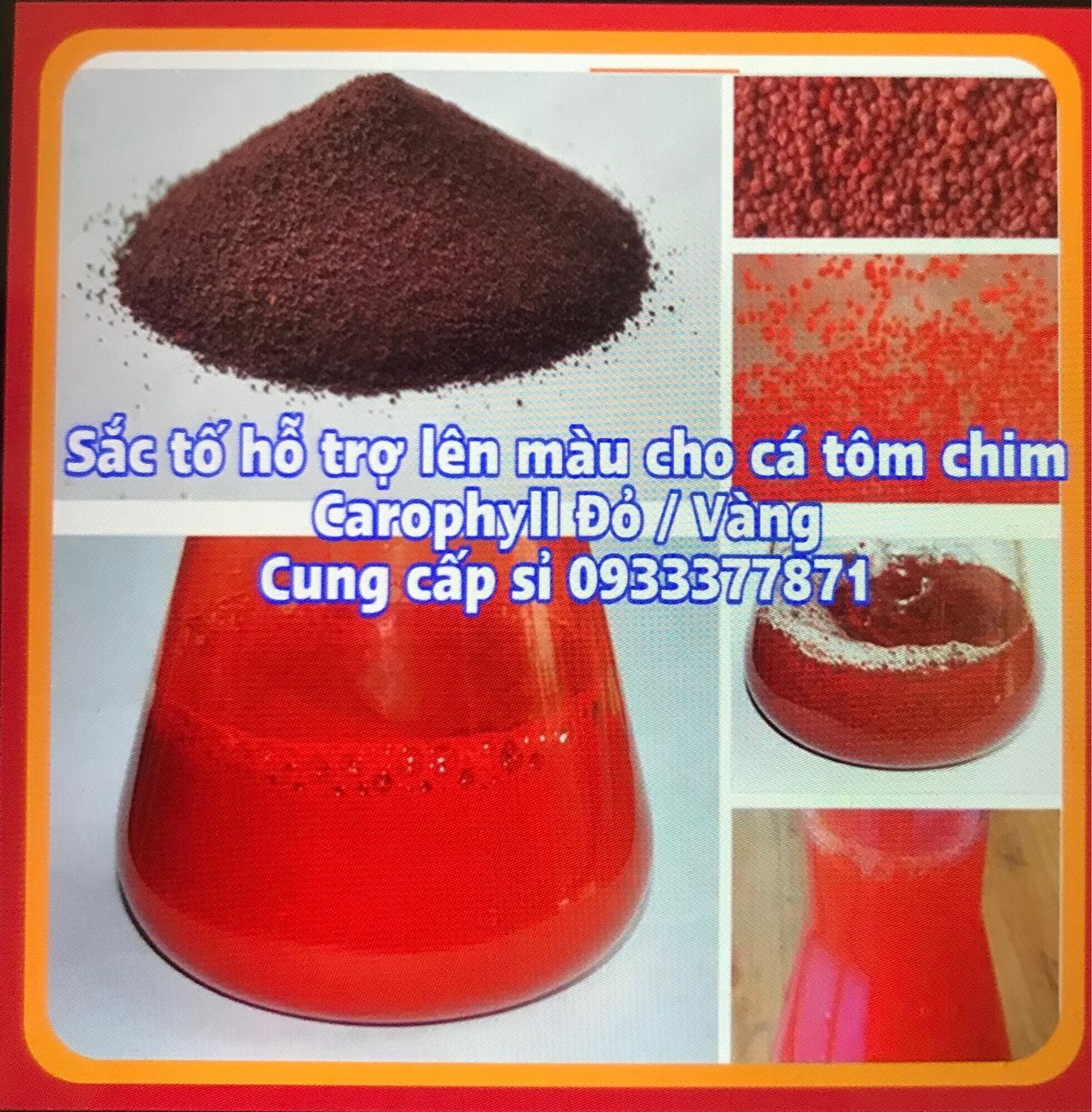 (Bán Sỉ) Carophyll Đỏ Vàng lên màu sặc sỡ cho cá tép cảnh (Hàng Nhập Khẩu)
