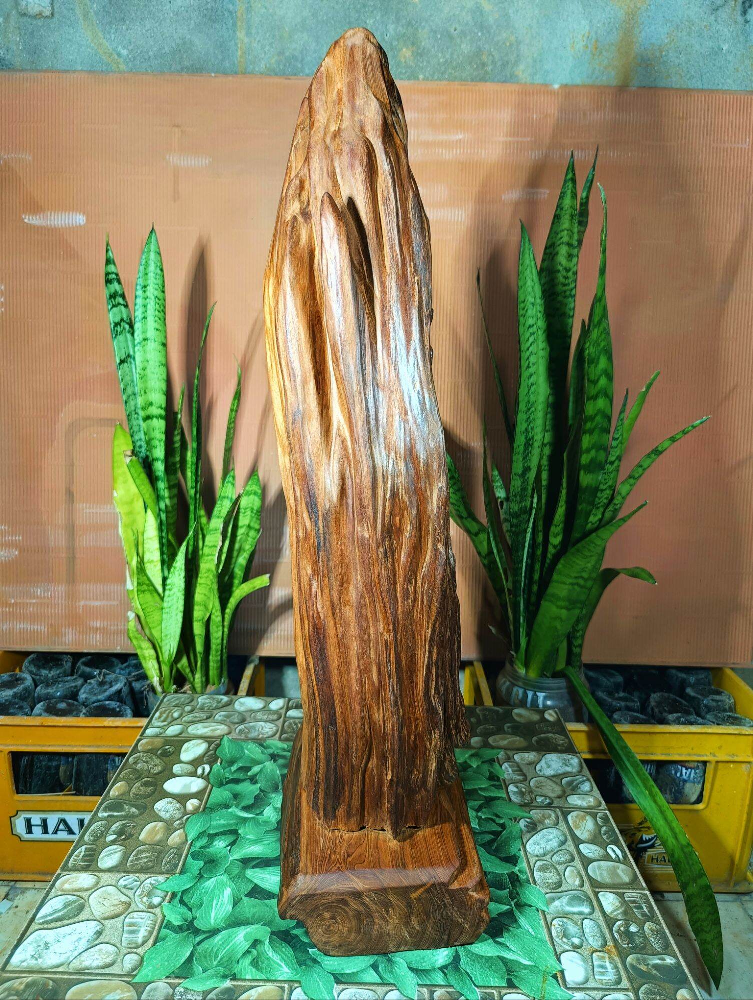 lũa gỗ thơm ngọc am đỏ hà giang