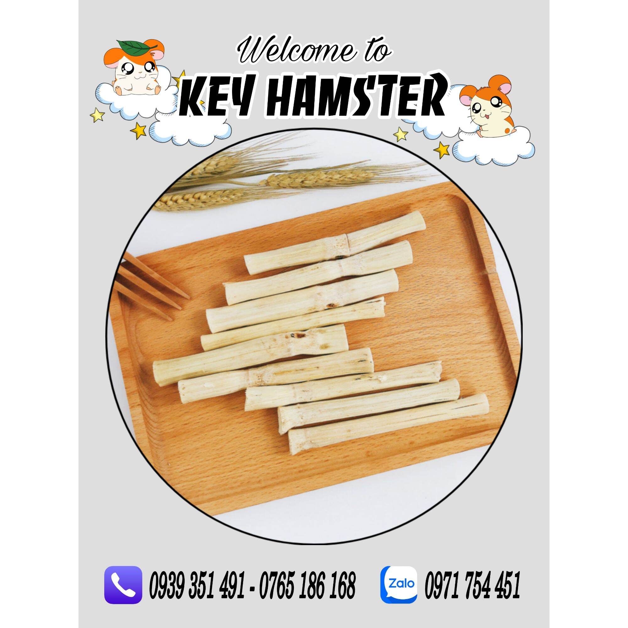 Cành trúc mài răng hamster.